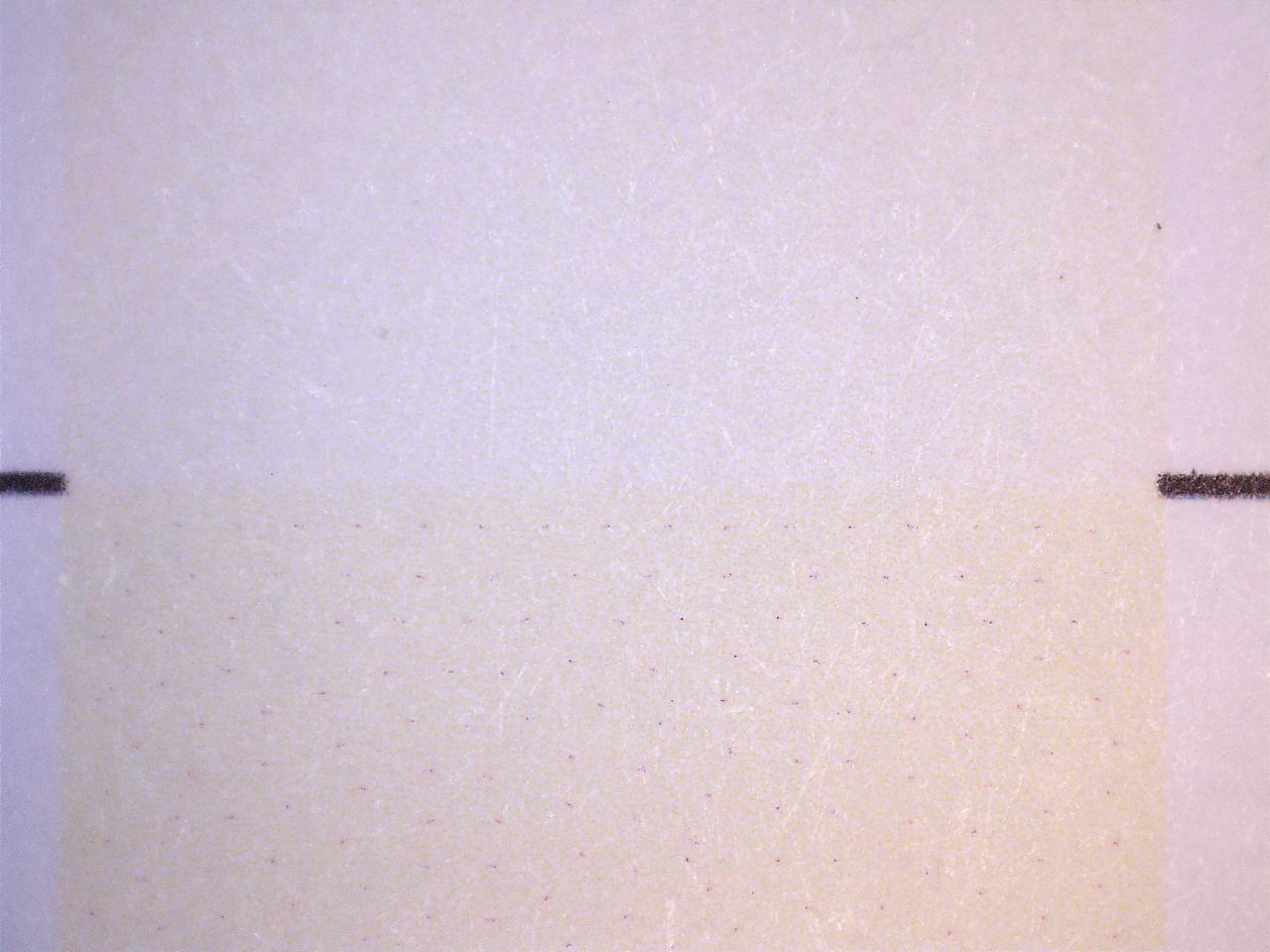 11542_agfa_ bild_raster_ye-1.jpg